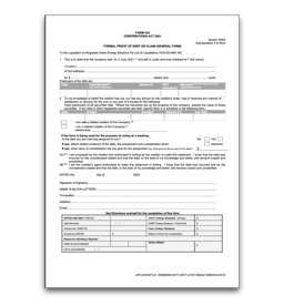 Proof of Debt Form